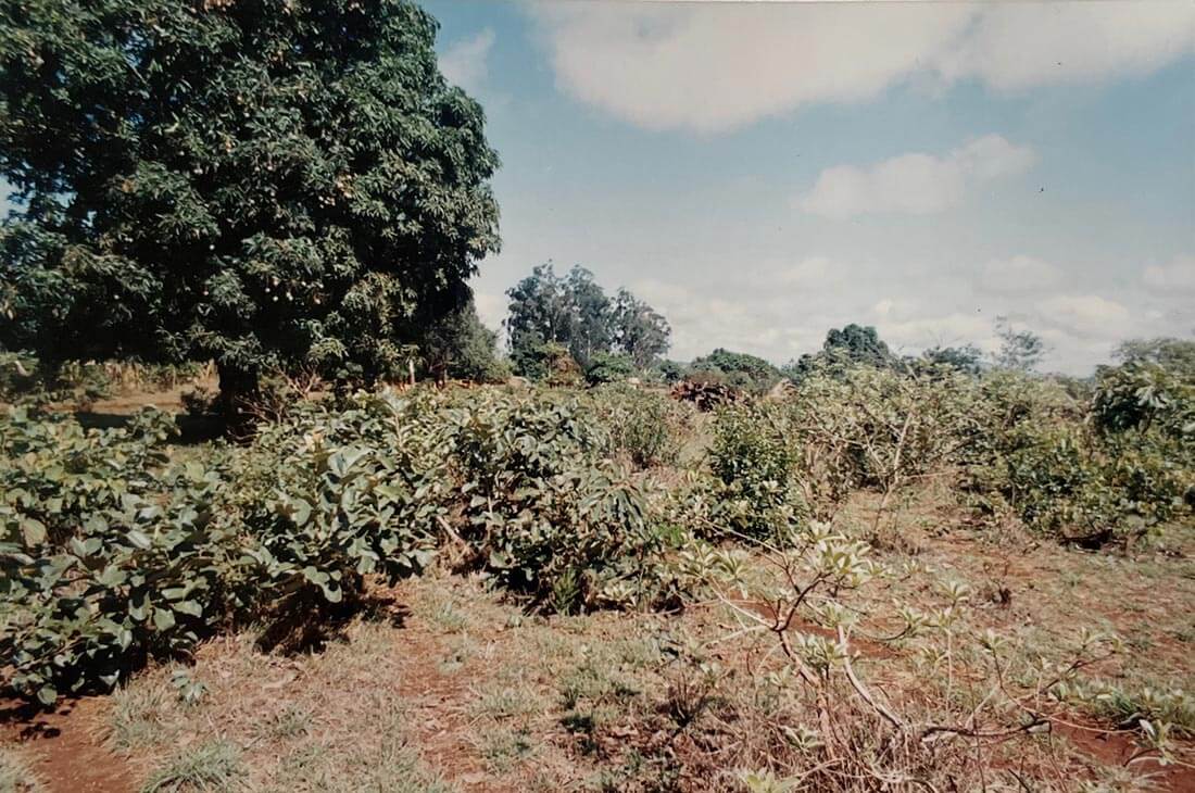 Choix du terrain d'implantation du centre de santé à Mbalang Djalingo