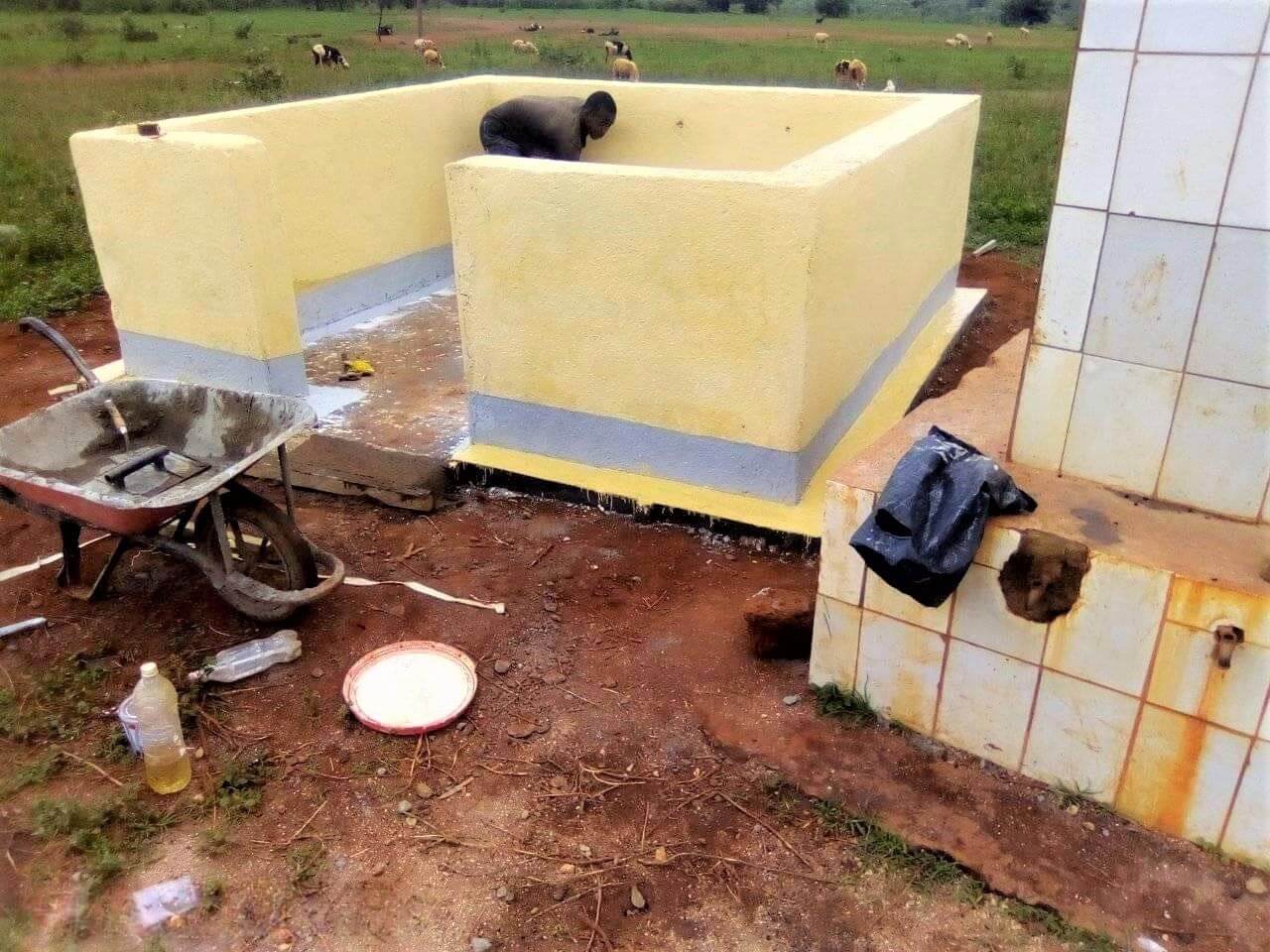 Construction du point d'eau de l'école à Mbalang Djalingo au Cameroun - Un projet Triangle d'Afrique